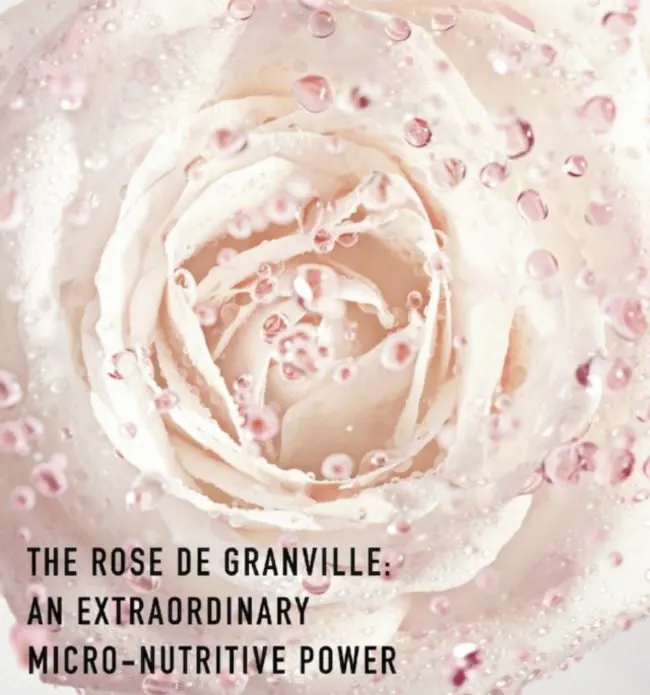 DIOR Prestige La Micro Lotion de Rose