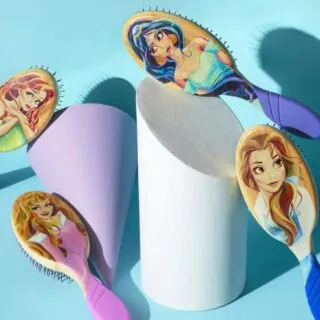 Wet Brush Pro Disney Stylized Princess Brush Collection