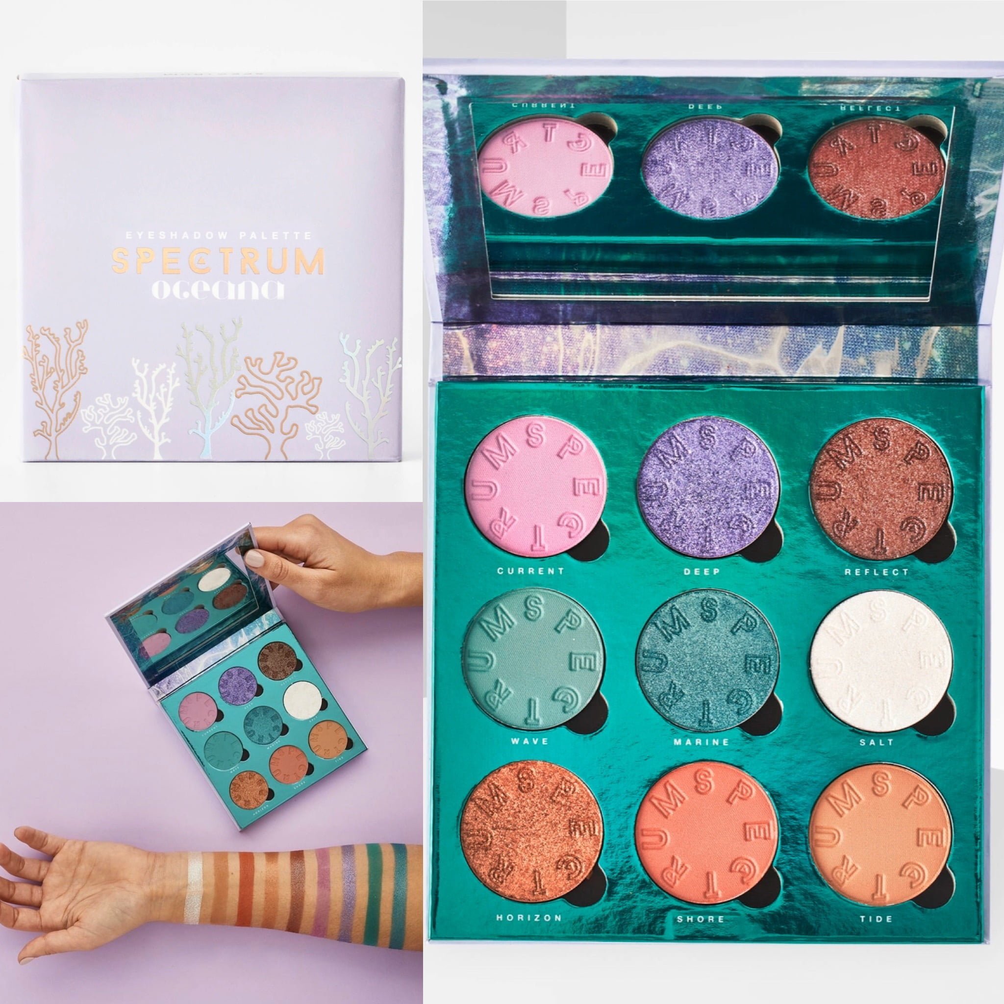 Spectrum Collections Oceana Collection