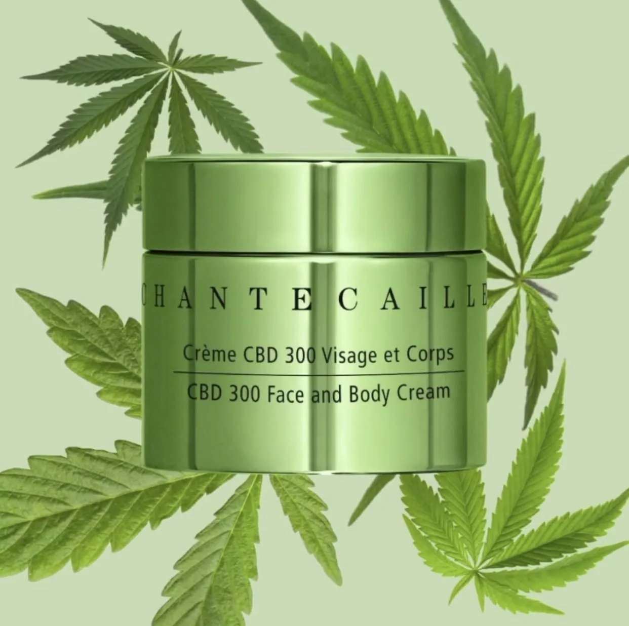 Chantecaille CBD 360 Face and Body Cream