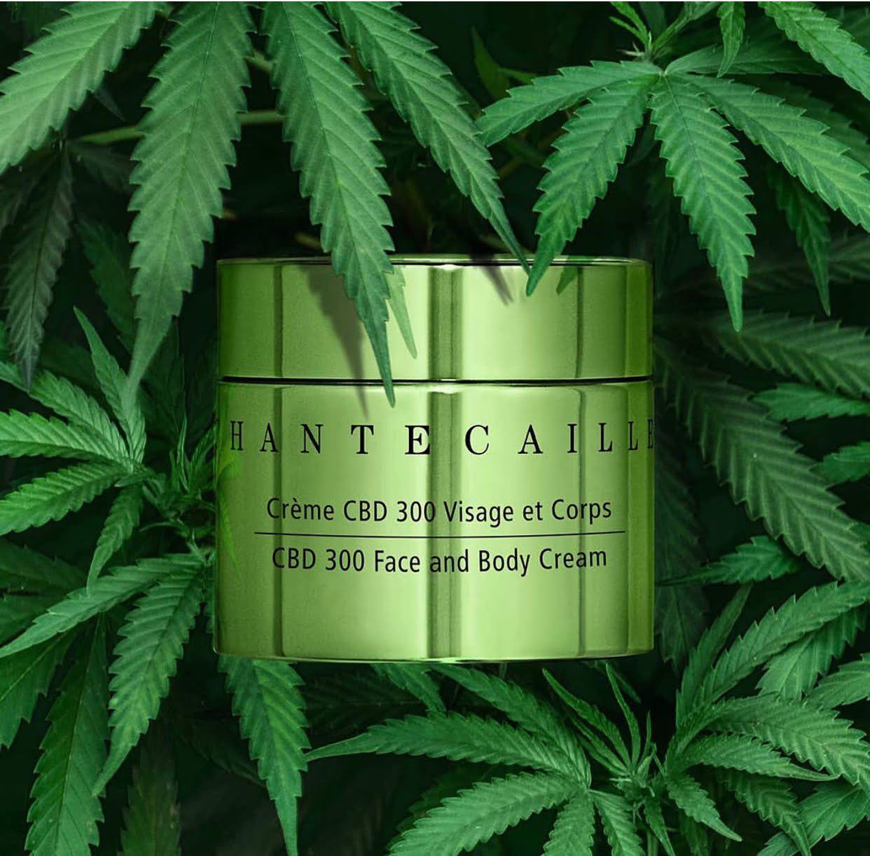 Chantecaille CBD 360 Face and Body Cream