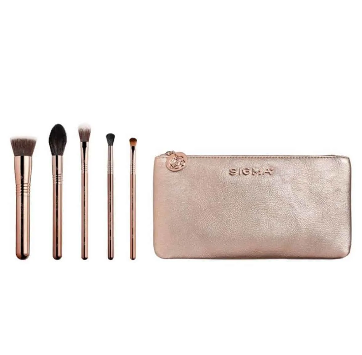 Sigma Iconic Brush Set