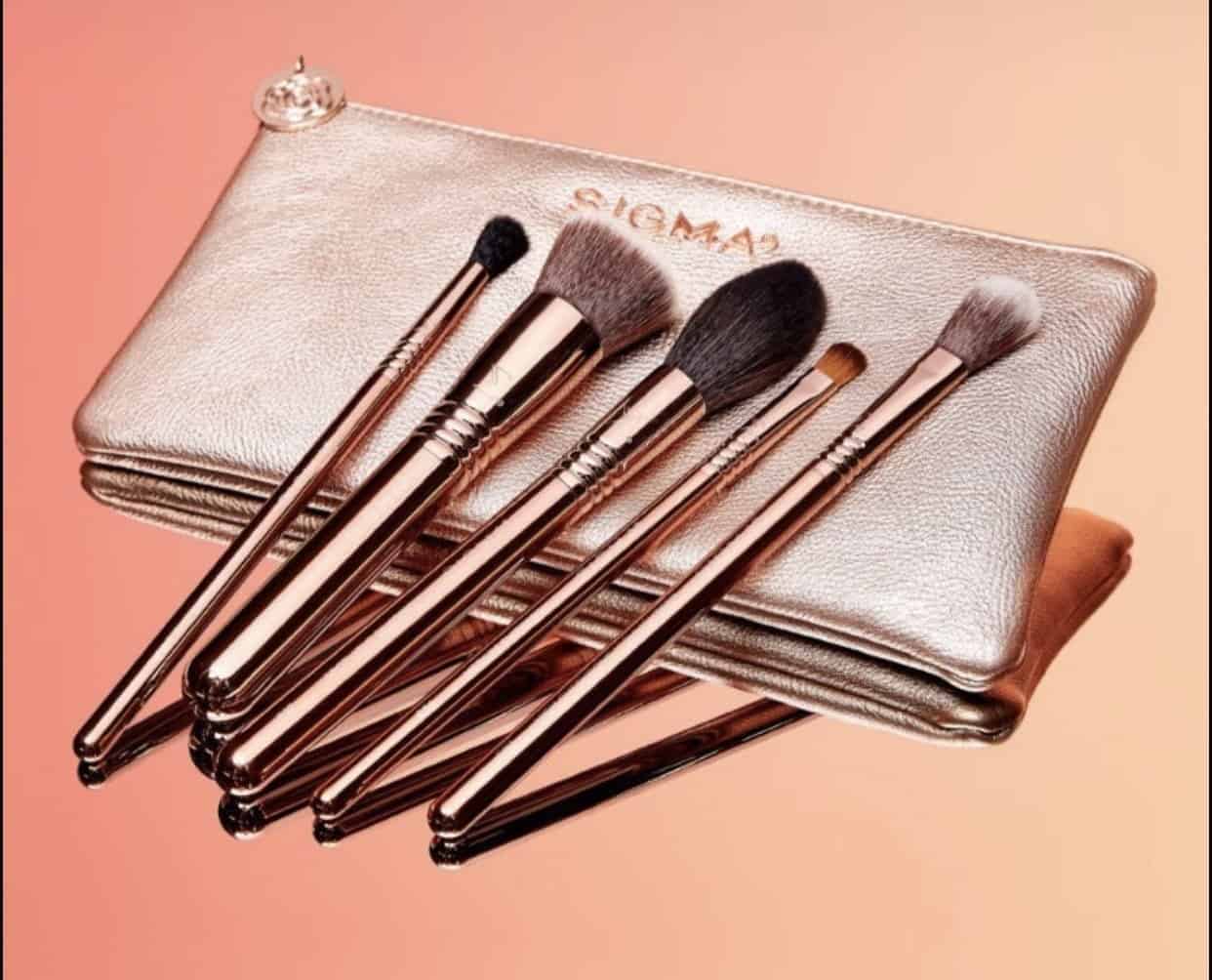 Sigma Iconic Brush Set