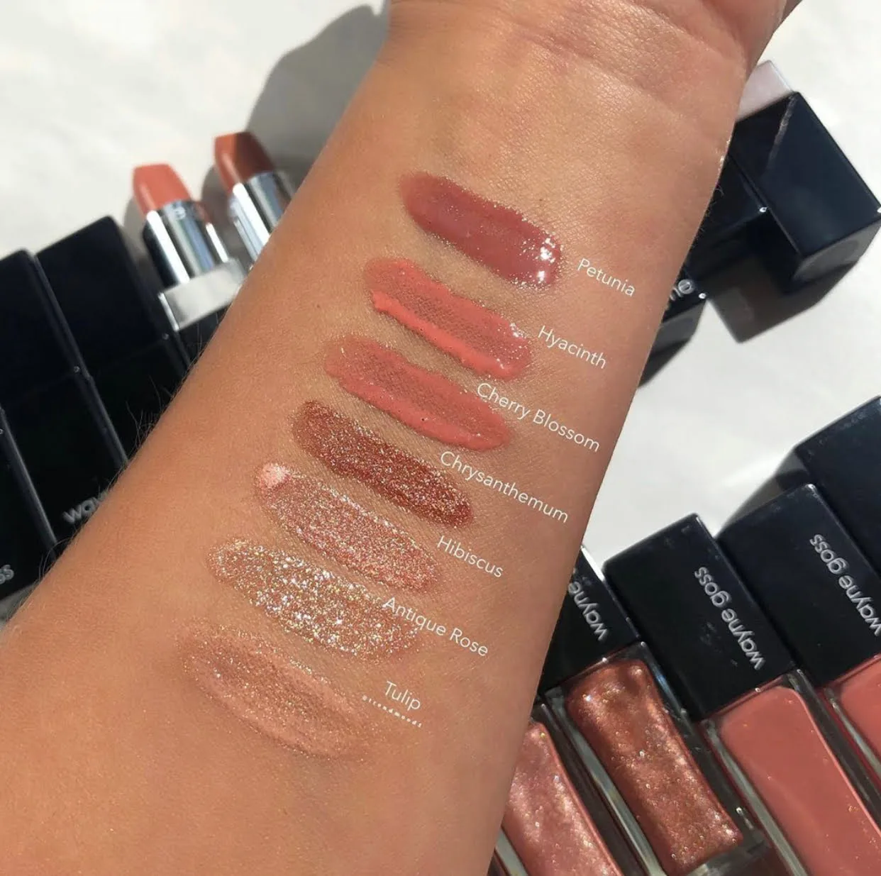 Wayne Goss Cosmetics The Lip Collection 17 Wayne Goss Cosmetics The Lip Collection