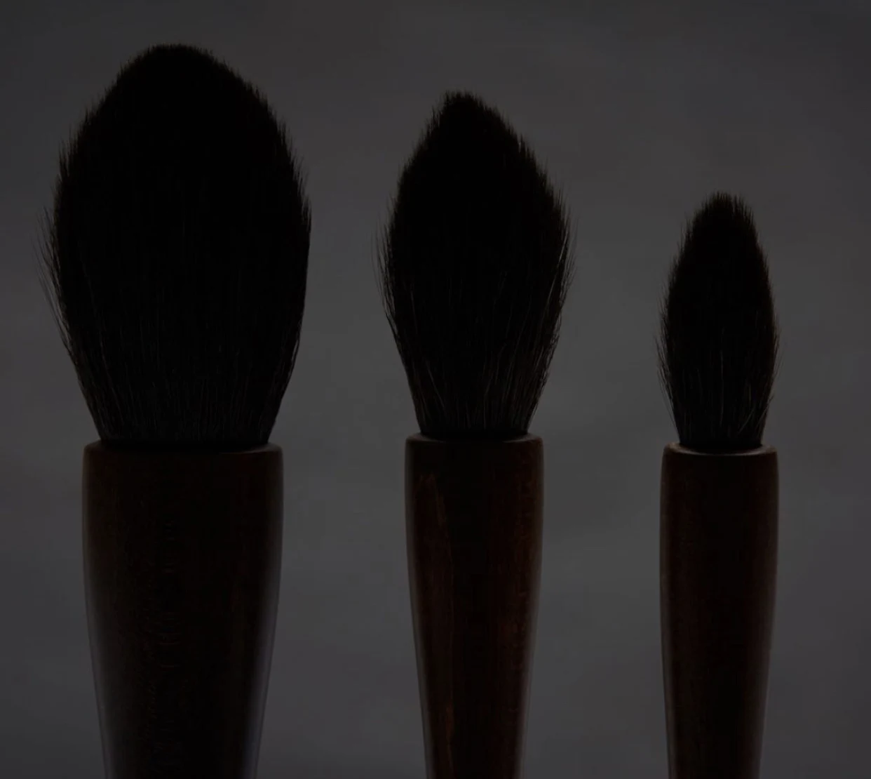 Wayne Goss The Artist Collection - NEW Brushes!