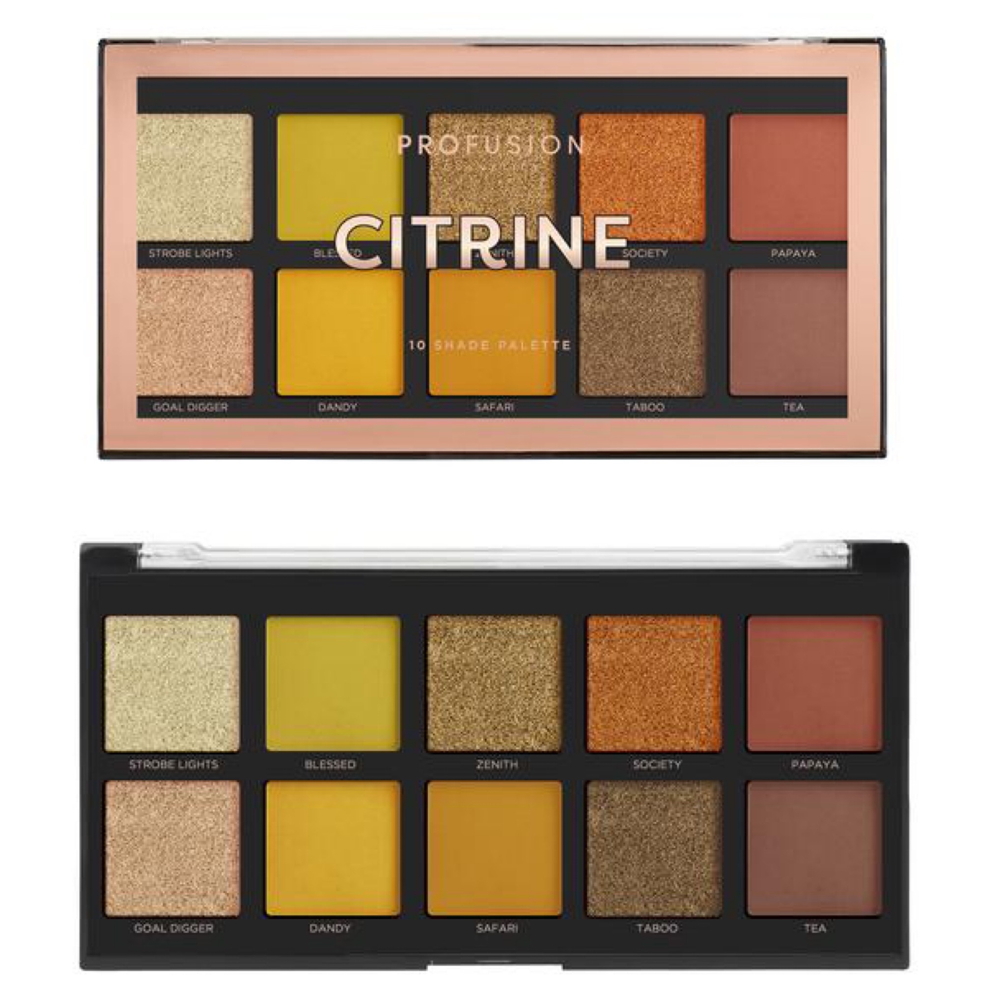Profusion Cosmetics 10 Shade Palette