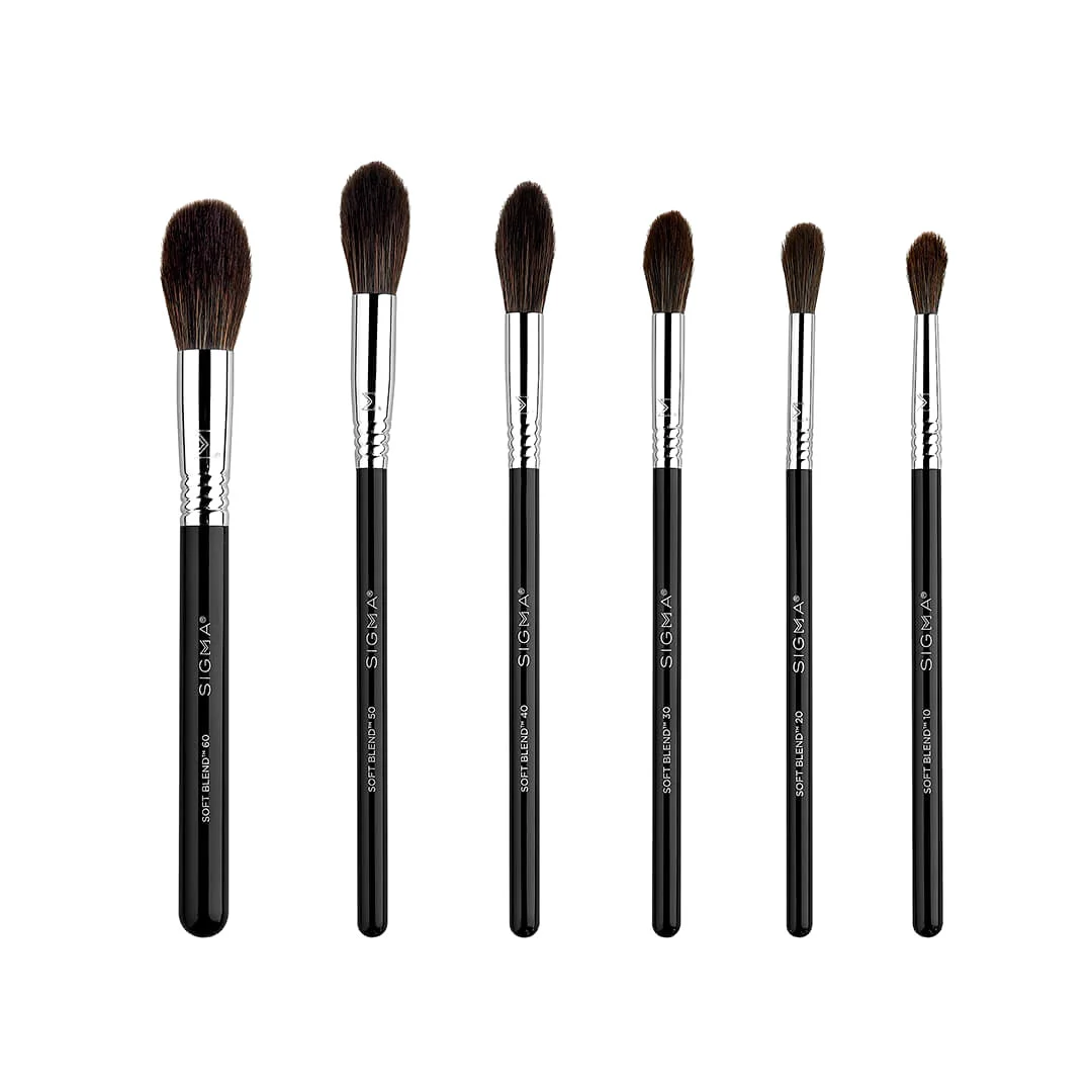 Sigma Beauty Soft Blend Brush Set 1