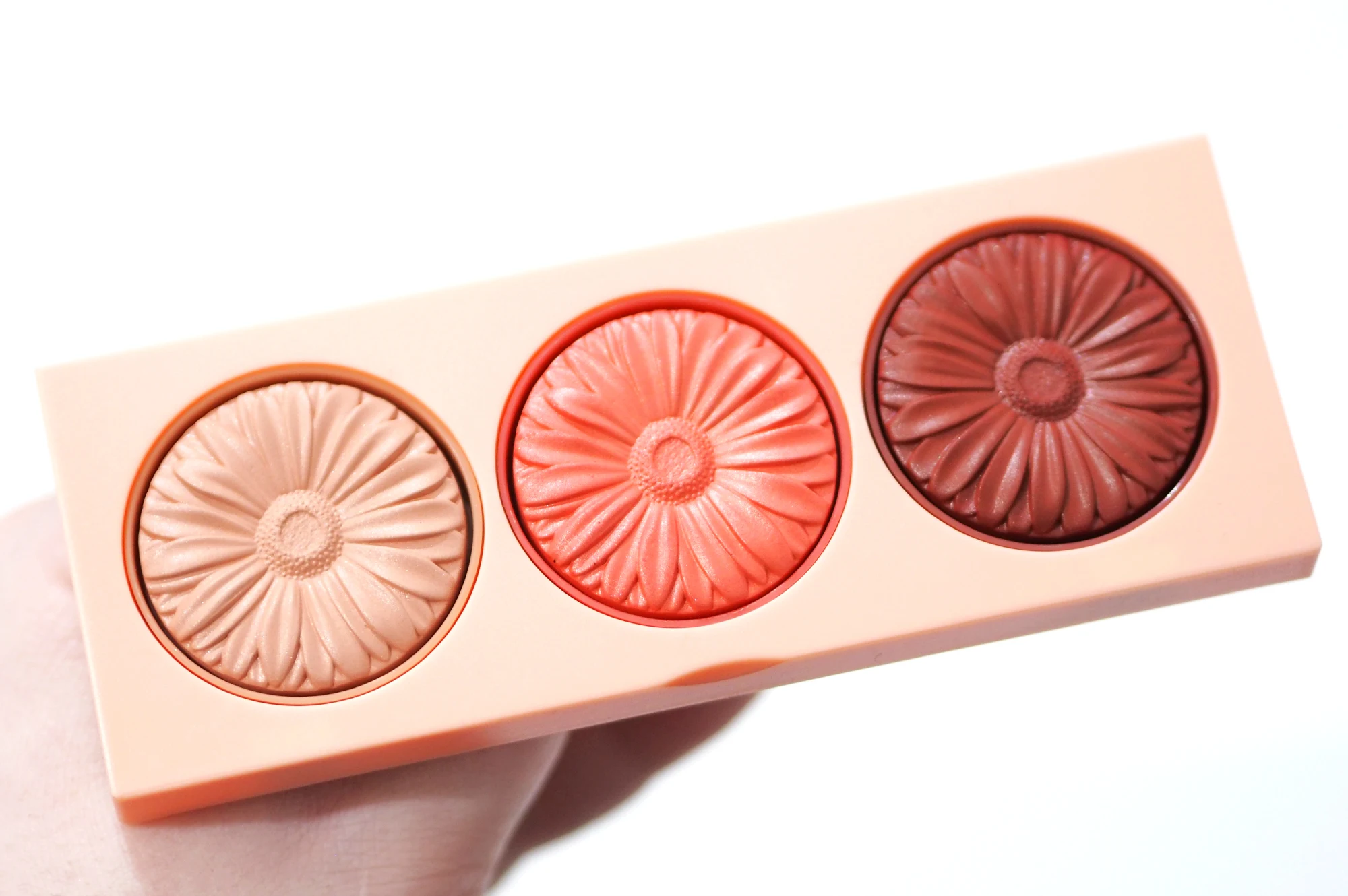 Clinique Warm Up Cheek Pop Blush Palette Review and Swatches