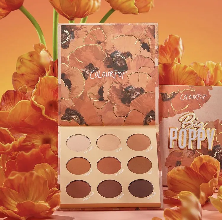 ColourPop Big Poppy Collection Reveal!