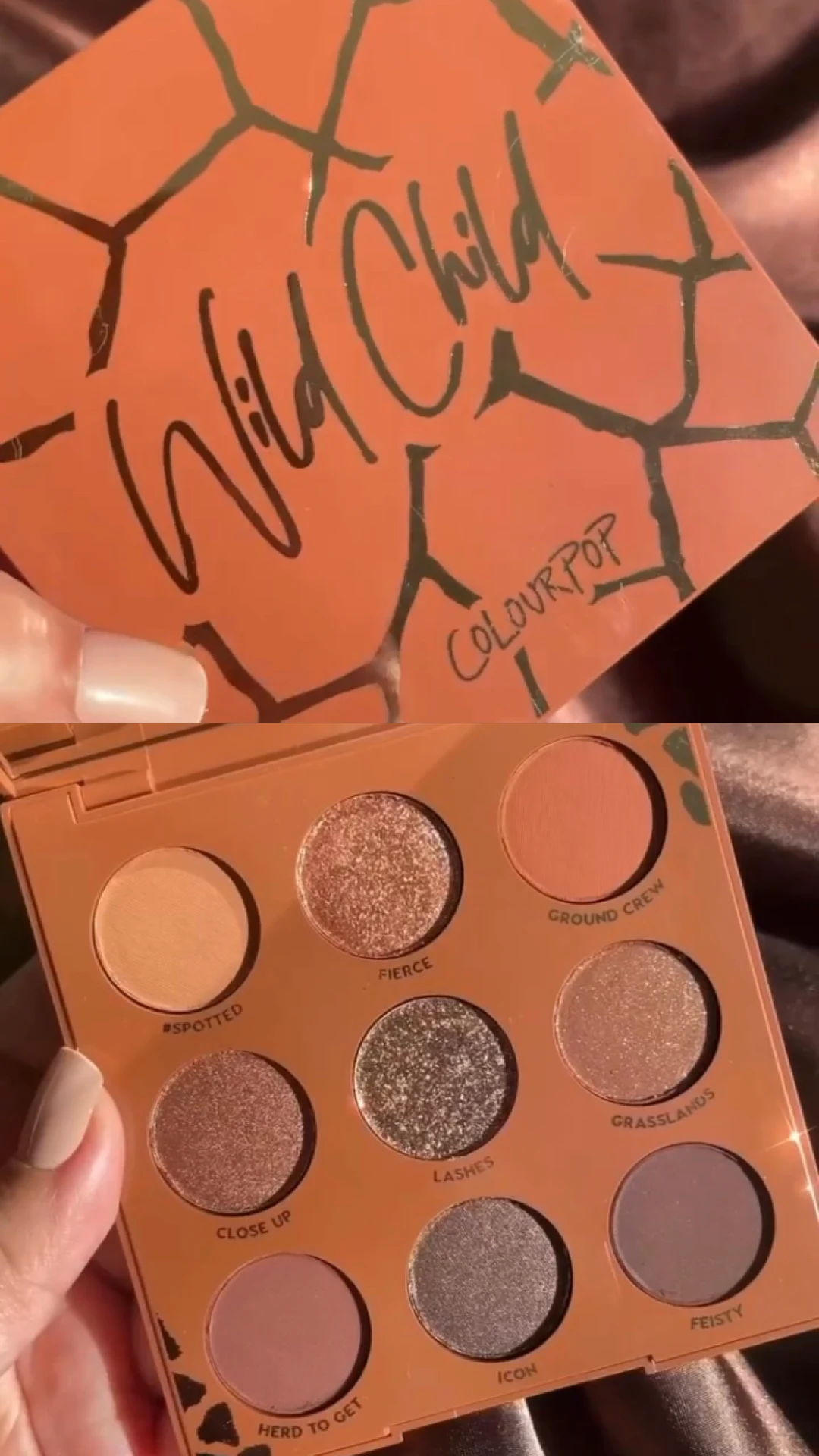 ColourPop Wild Child Collection Reveal!