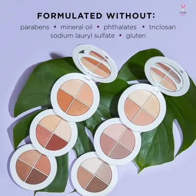 Tarte Lid Laugh Love Amazonian Clay Eyeshadow Wardrobe