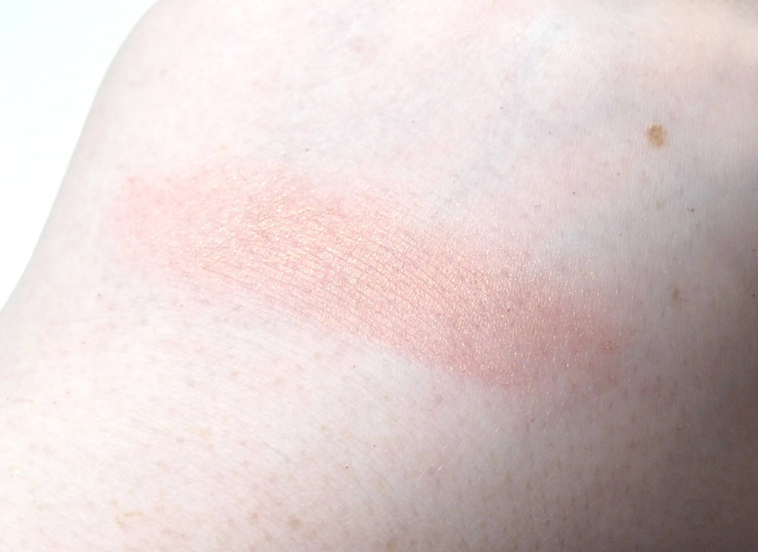 Catrice Cheek Lover Oil-Infused Blush Review / Swatches