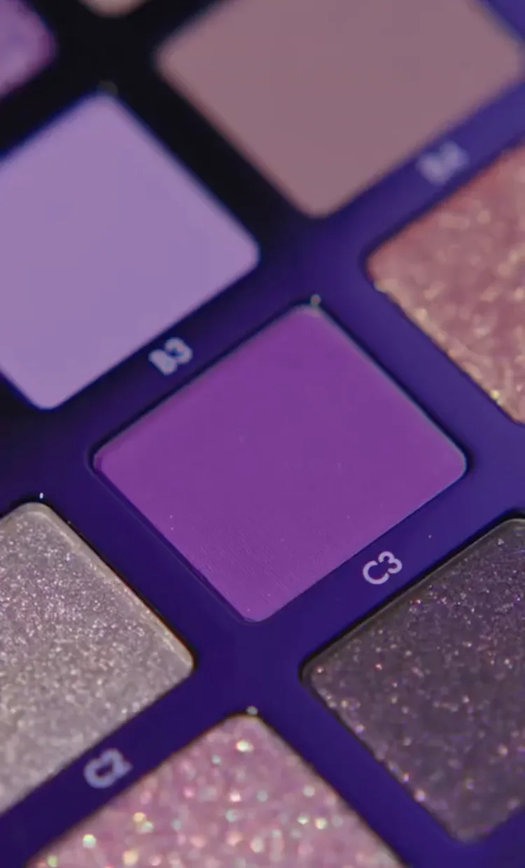 Anastasia Beverly Hills Norvina Cosmetics Pro Pigment Palette Vol 5