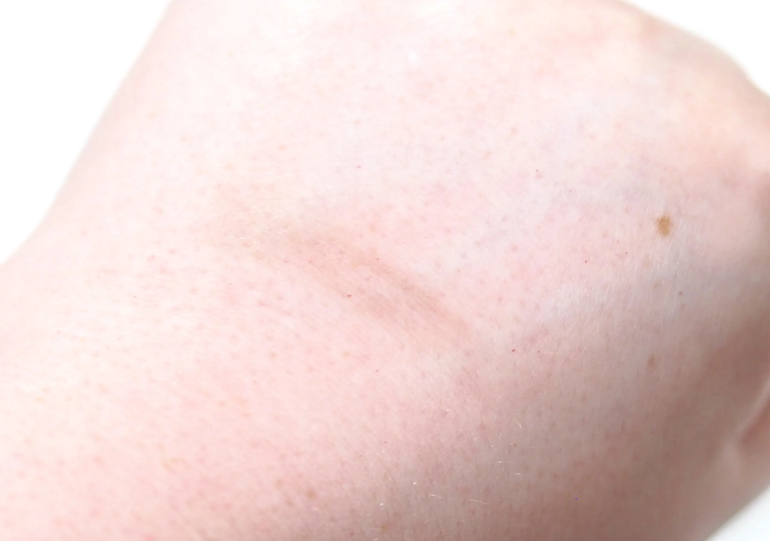 ColourPop Tinted Brow Styling Wax Review / Swatches
