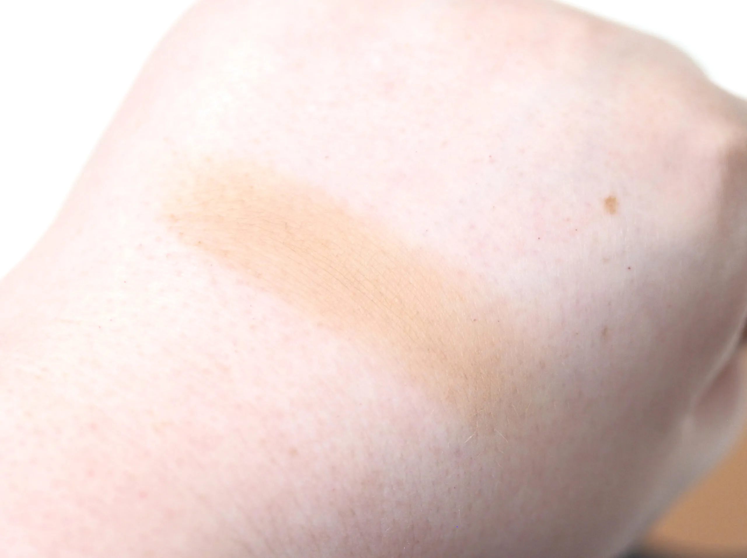 ELF Primer Infused Bronzer Review Swatches