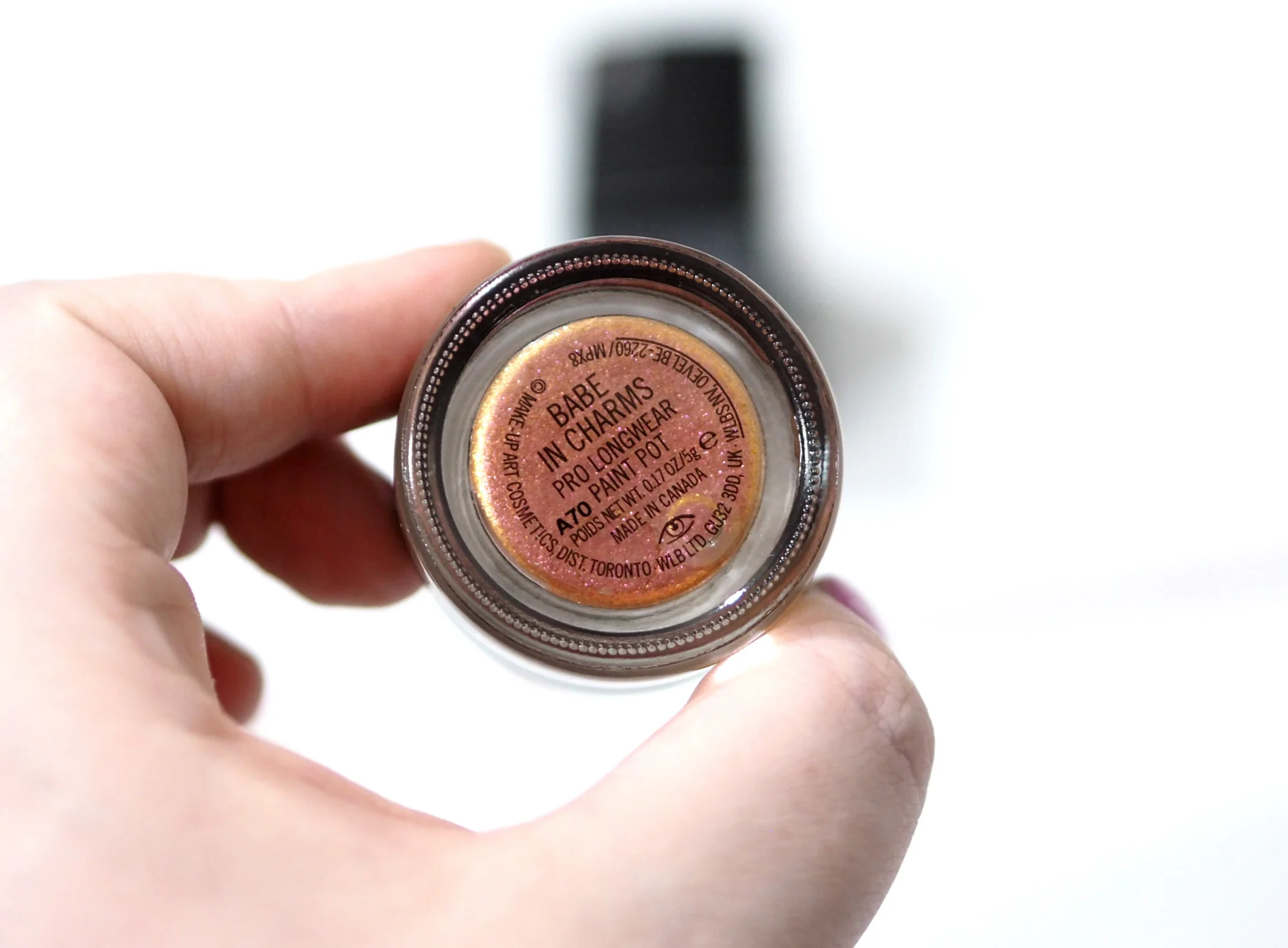 MAC Babe In Charms Pro Longwear Paint Pot Review Swatches