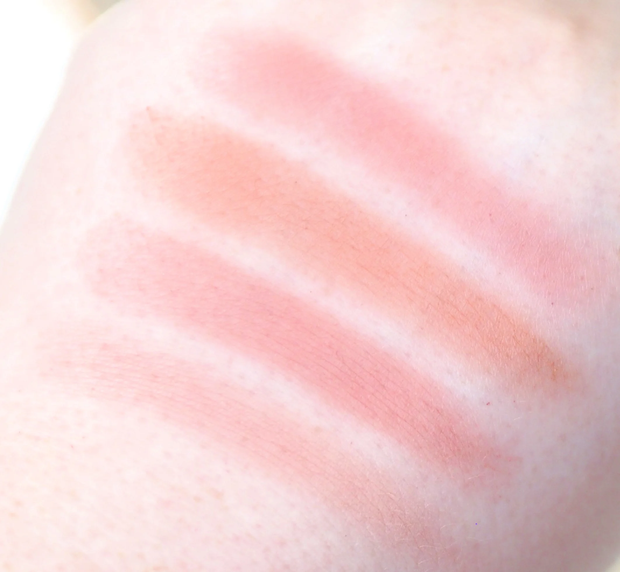 BH Cosmetics Vanilla Cream Truffle Blush Palette Review / Swatches