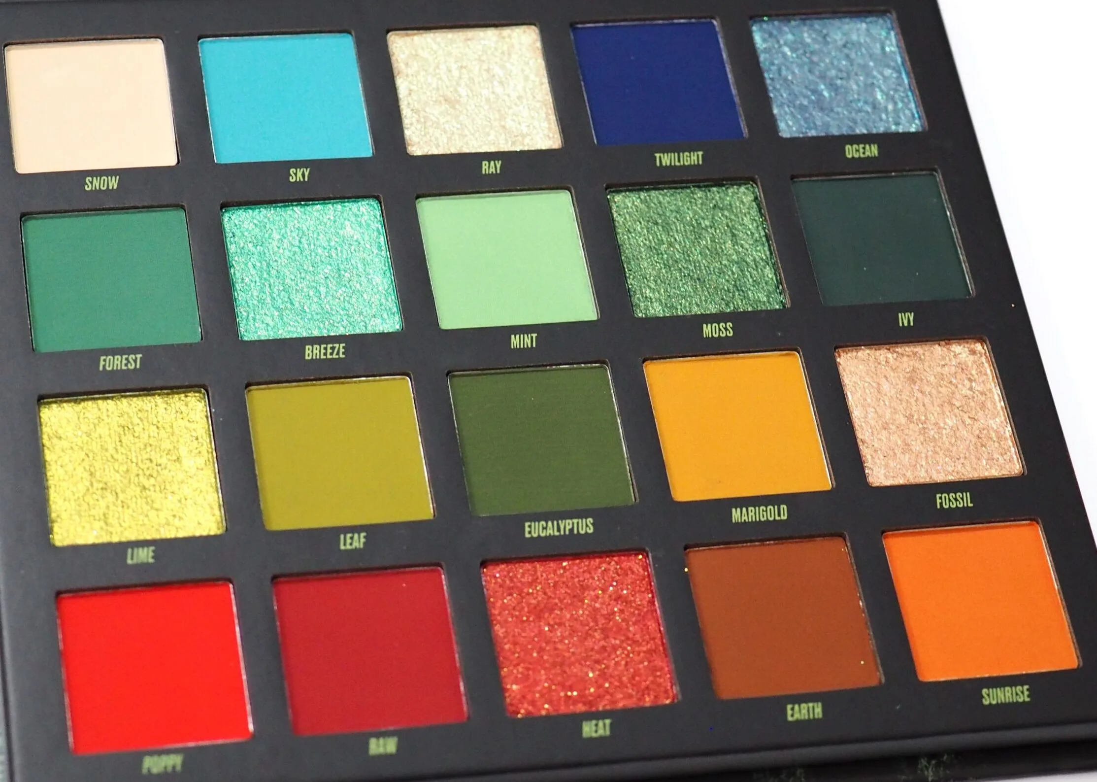 By Beauty Bay Wilderness Palette Review Swatches