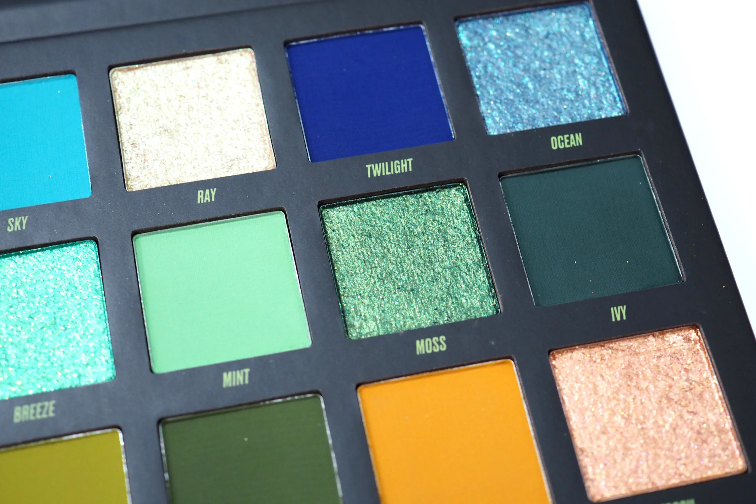 By Beauty Bay Wilderness Palette Review / Swatches
