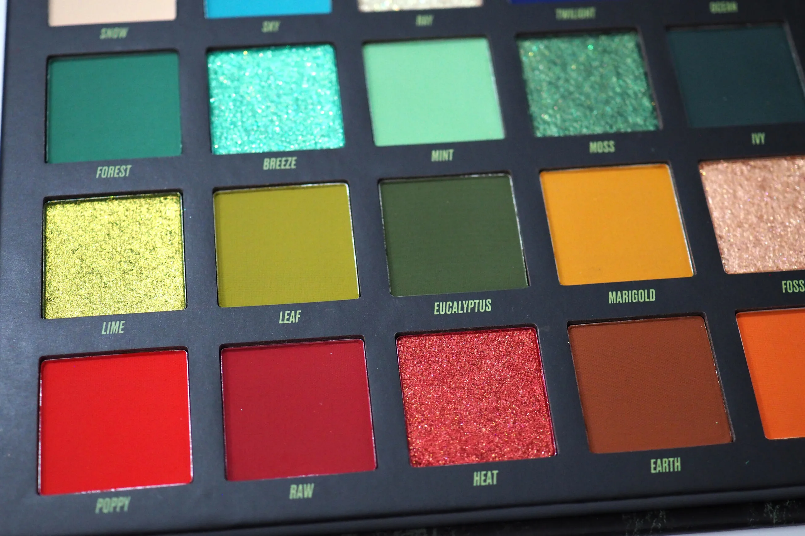 By Beauty Bay Wilderness Palette Review / Swatches