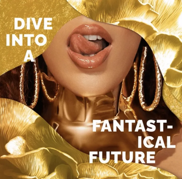 BH Cosmetics x Doja Cat Collaboration Reveal!