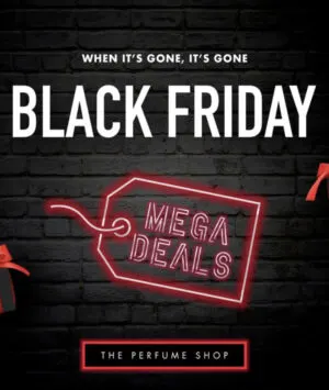 The BEST Beauty Black Friday Deals 2021 Directory