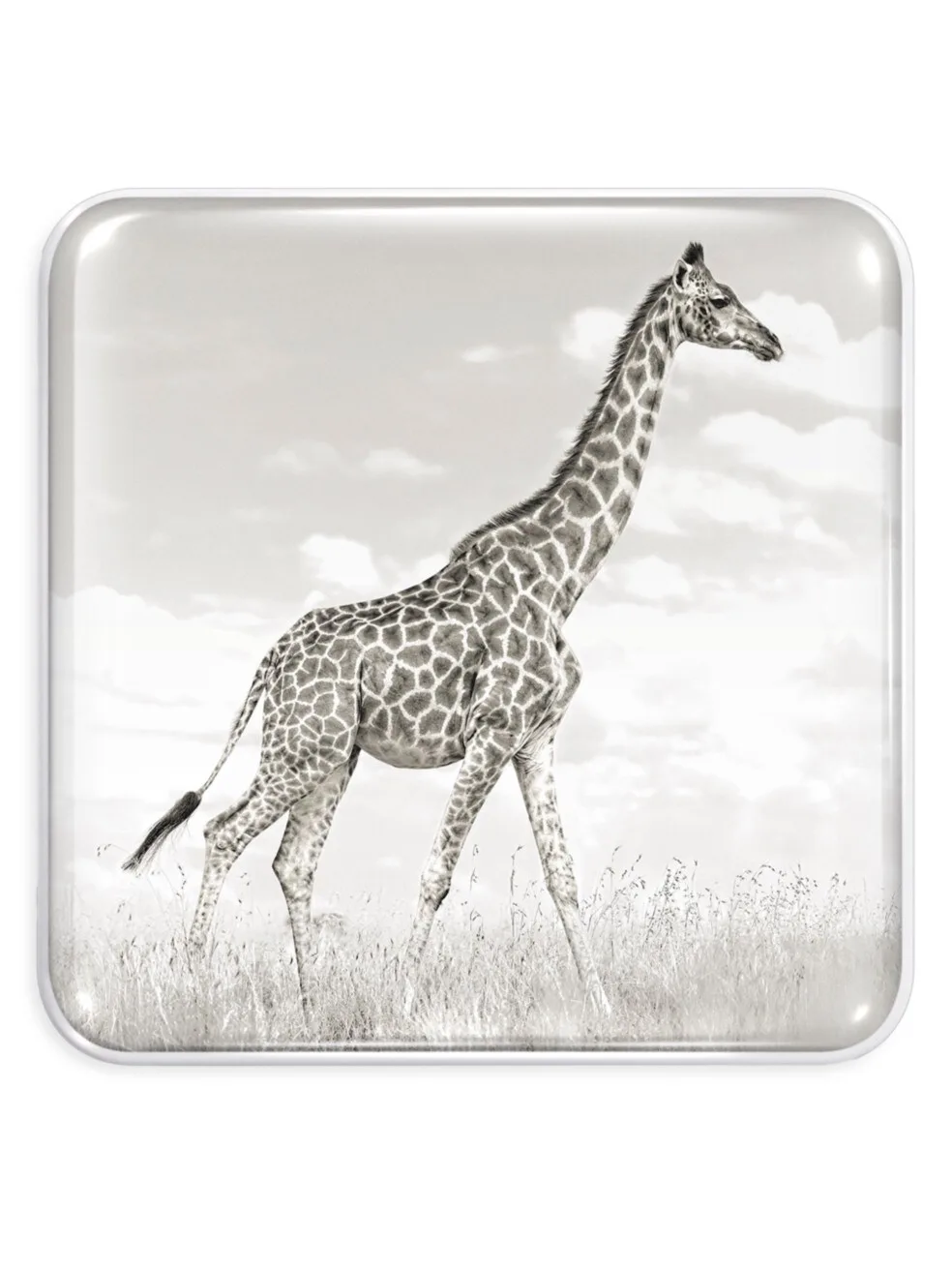 Chantecaille Giraffe Eye Quartet Palette
