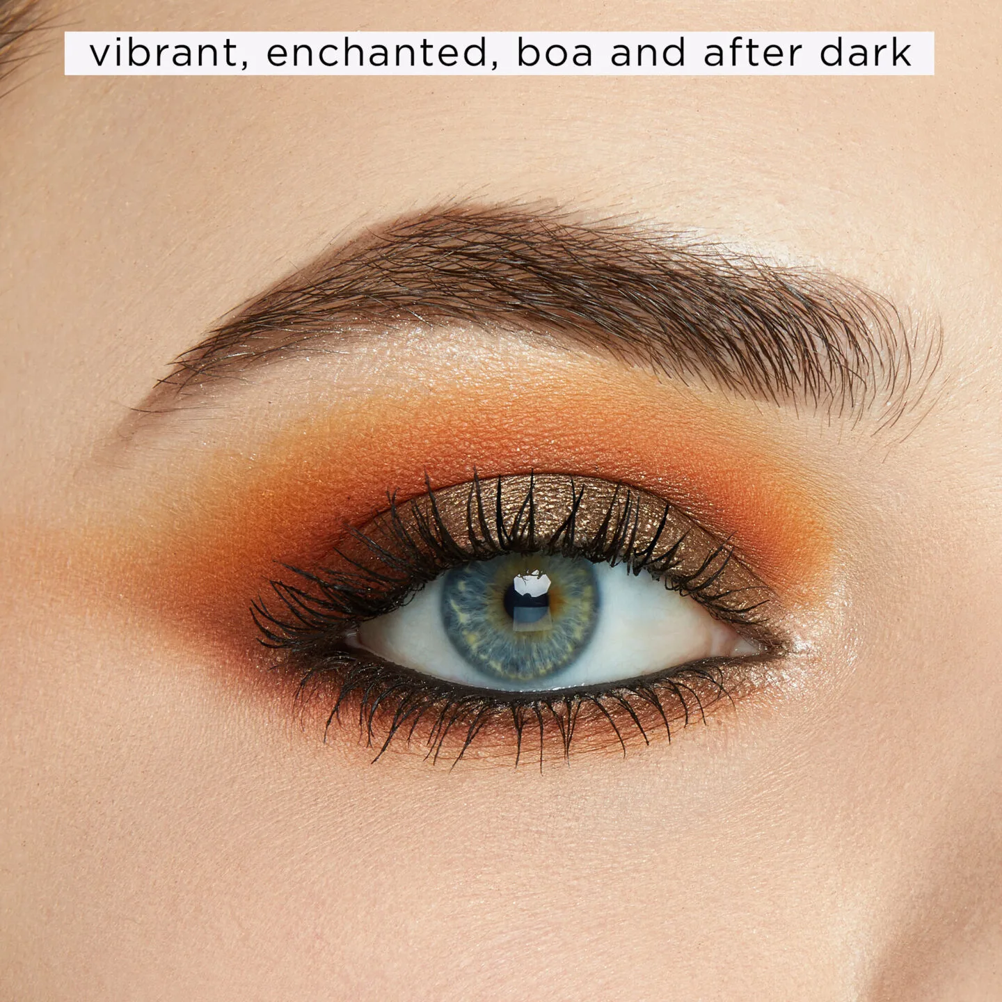 Tarte Rainforest Temptations Amazonian Clay Eye & Cheek Palette