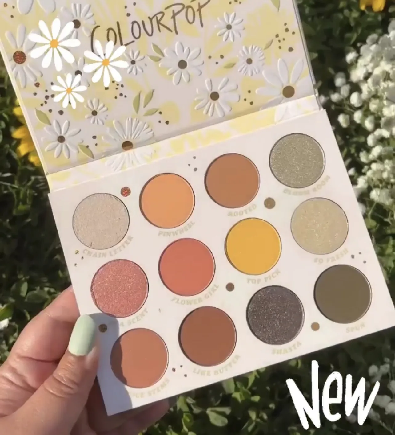 ColourPop Daisy Does It Collection