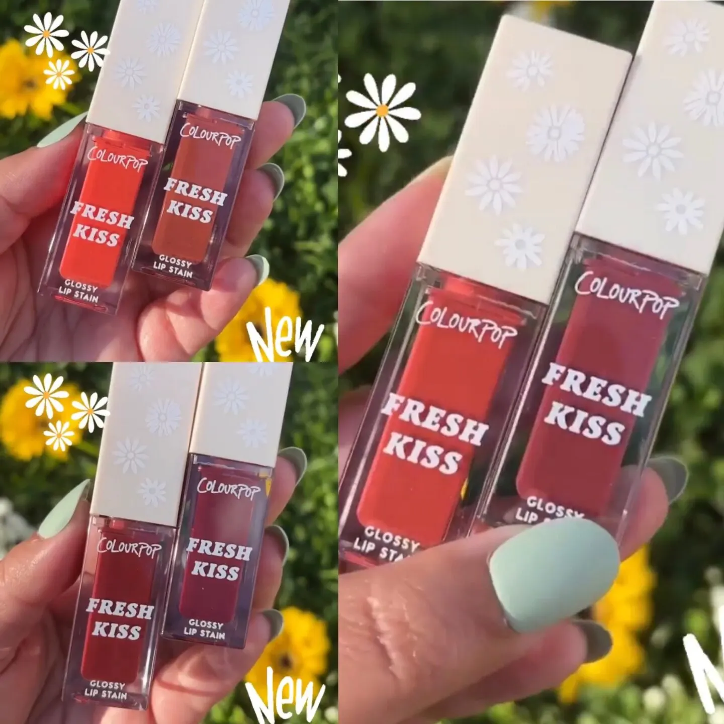 ColourPop Daisy Does It Collection