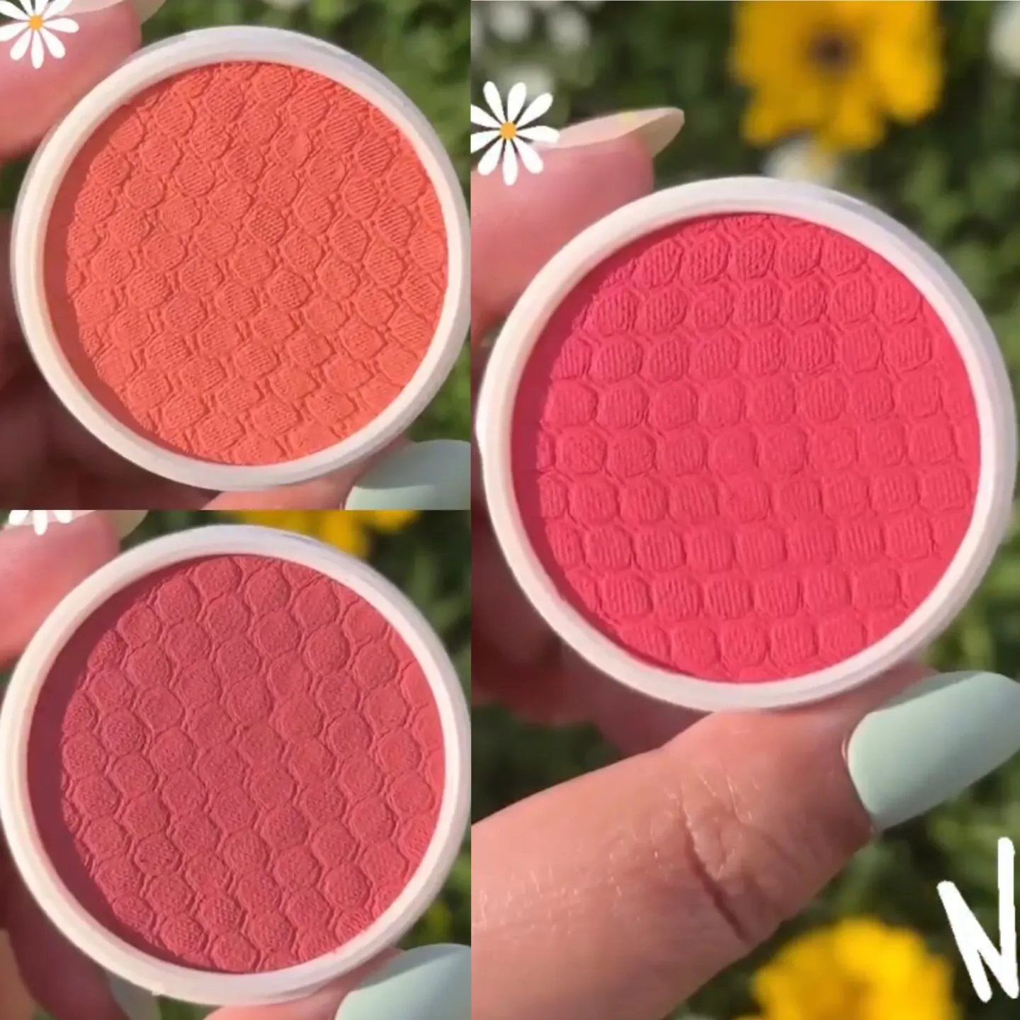 ColourPop Daisy Does It Collection