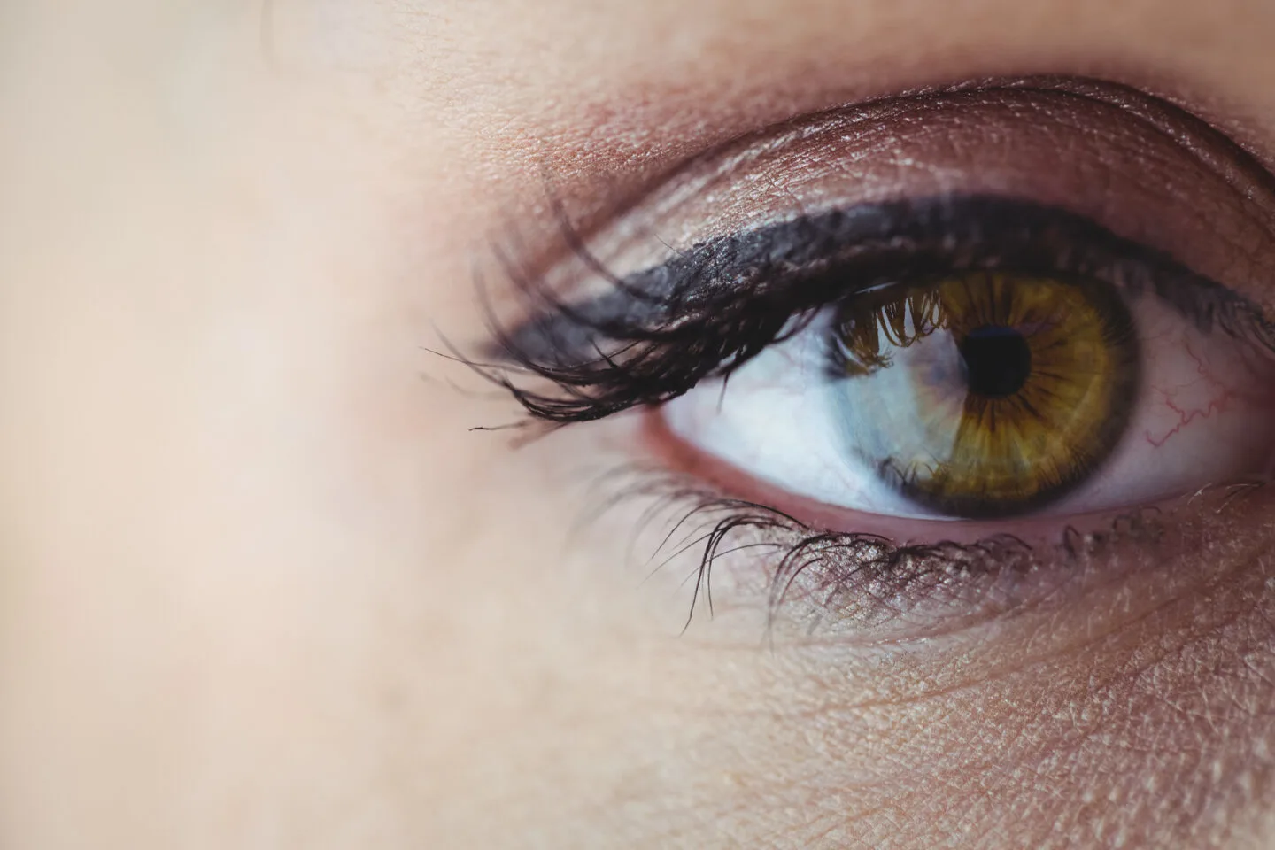 What Eyeshadow For Green Eyes [Best Eyeshadows For Green Eyes]
