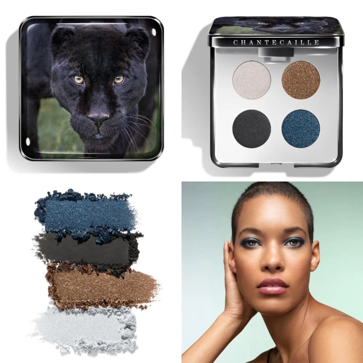 Chantecaille Black Jaguar Eye Quartet