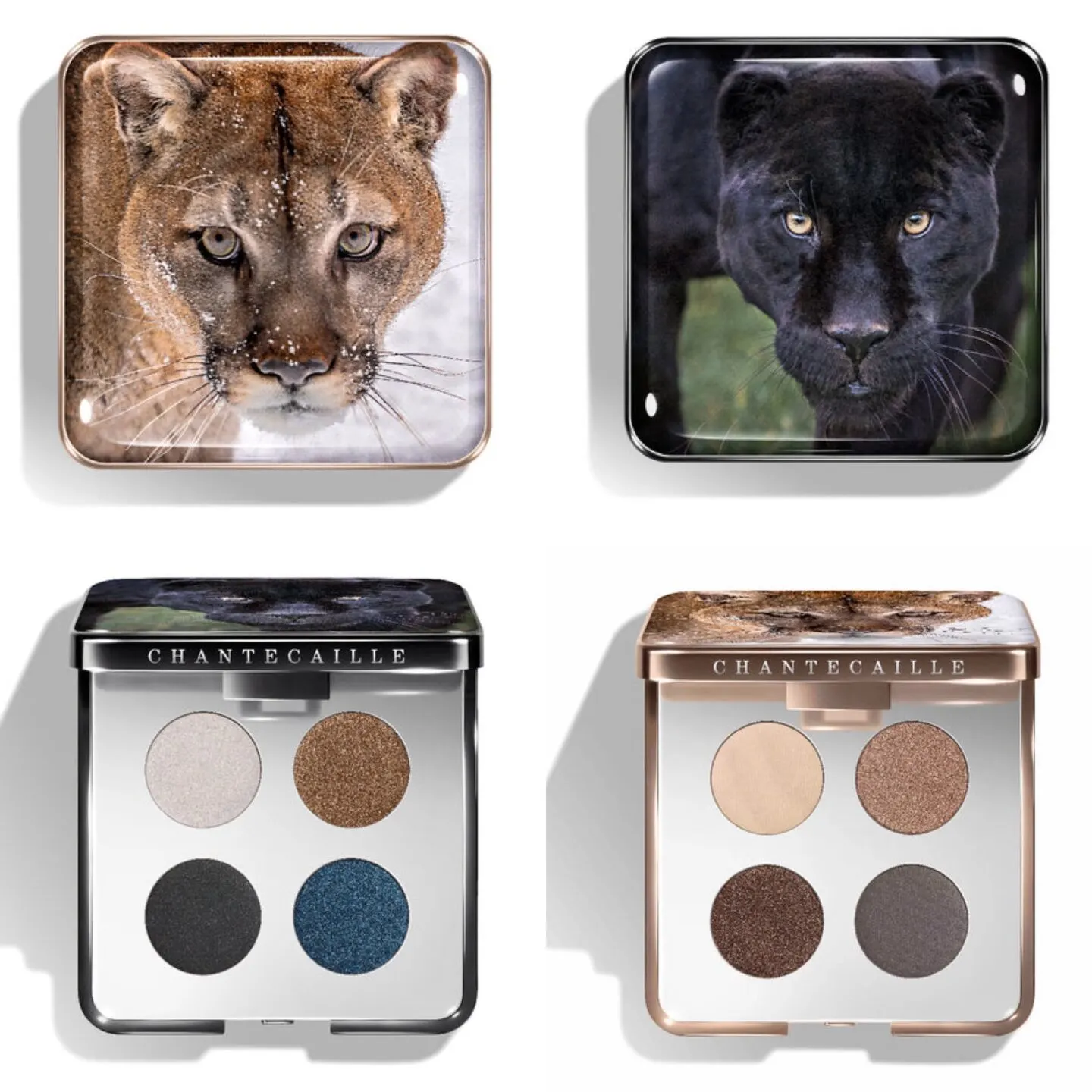 Chantecaille Black Jaguar Collection + Cougar Collection
