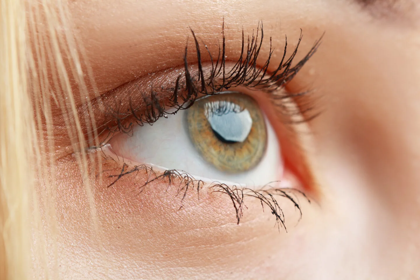 Do Eyelashes Grow Back [Can Lashes Regrow] 