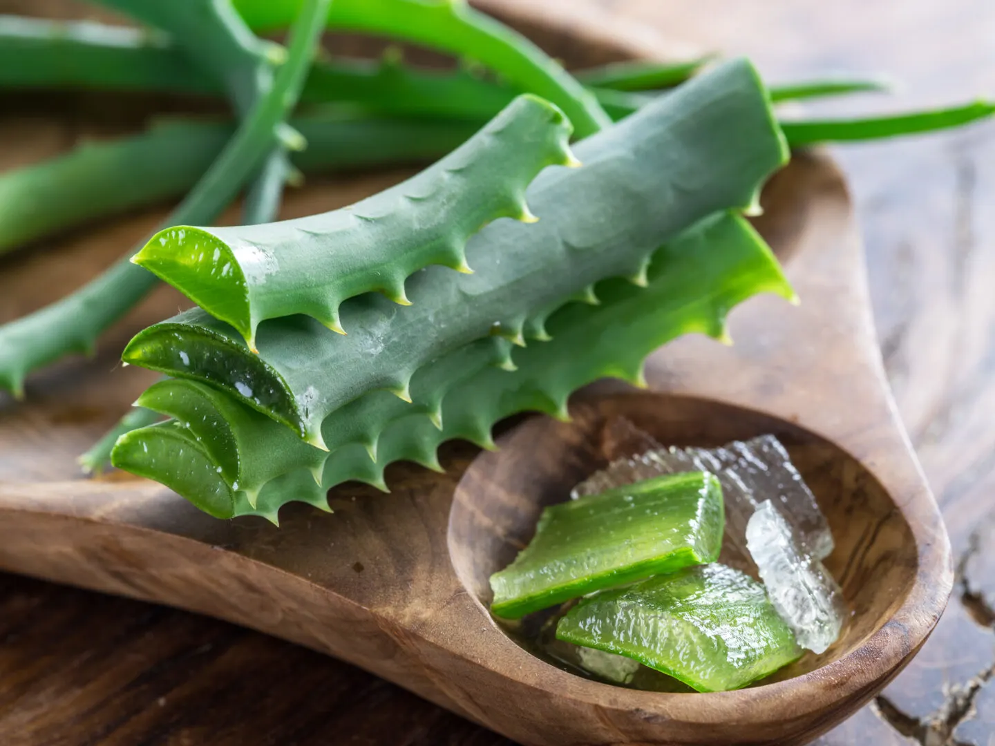 Does Aloe Vera Help Eyelashes Grow?