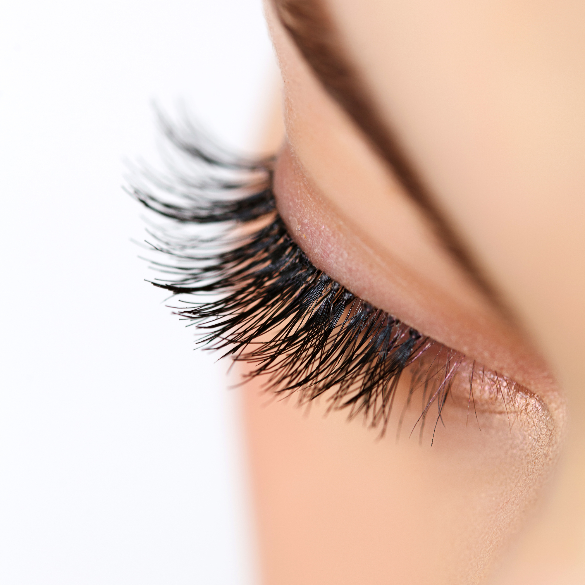 You Won'T Believe How Many Eyelashes You Have! - dy5l4rz