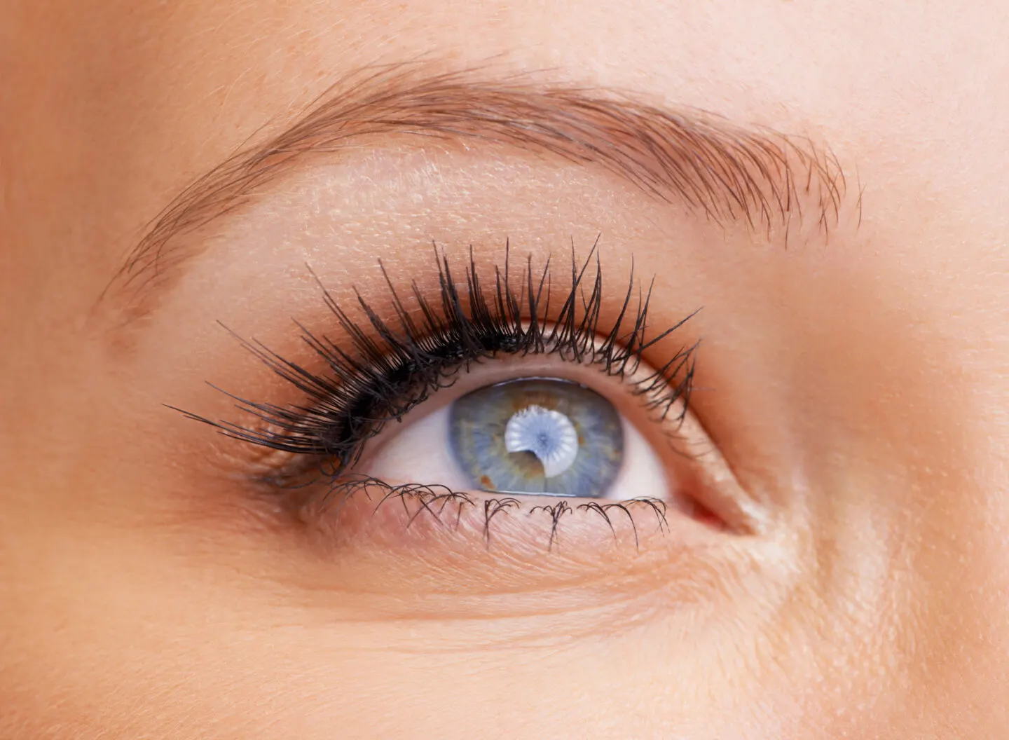 How Many Rows Of Eyelashes Is Normal? How Many Rows Should You Have?
