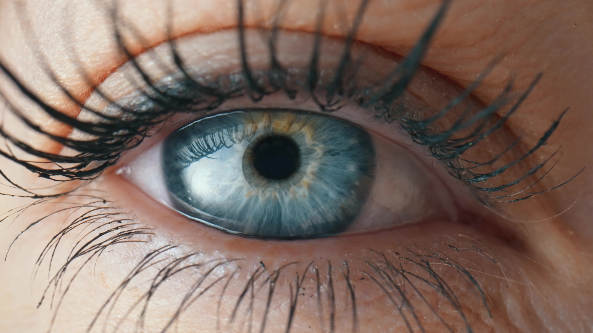 How Many Eyelashes Does a Human Have?