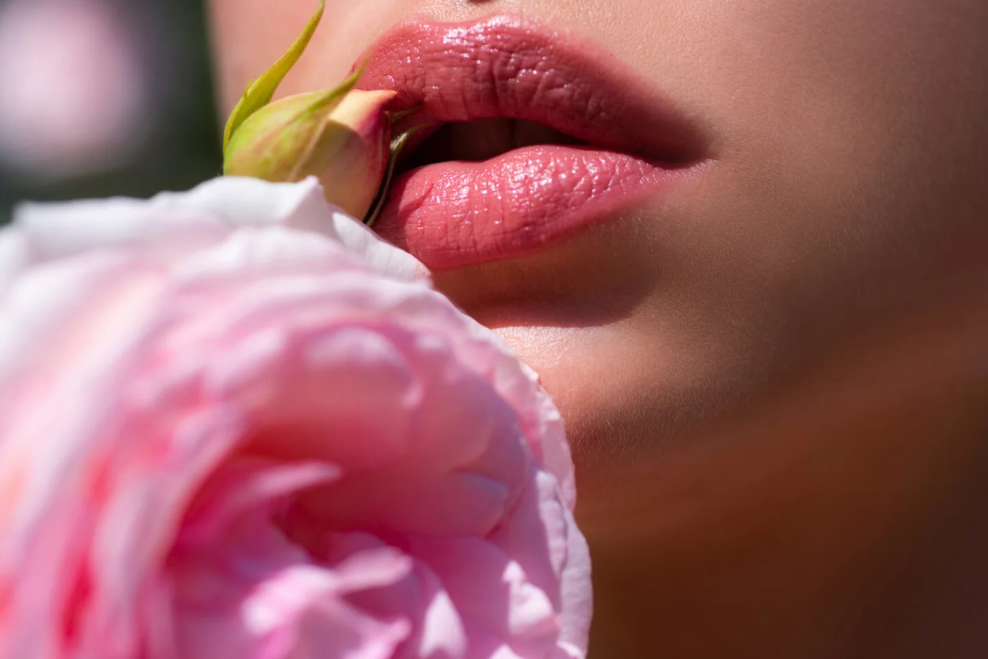 How often should you apply Carmex?