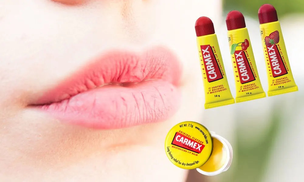 What Are The Ingredients In Carmex Lip Care?