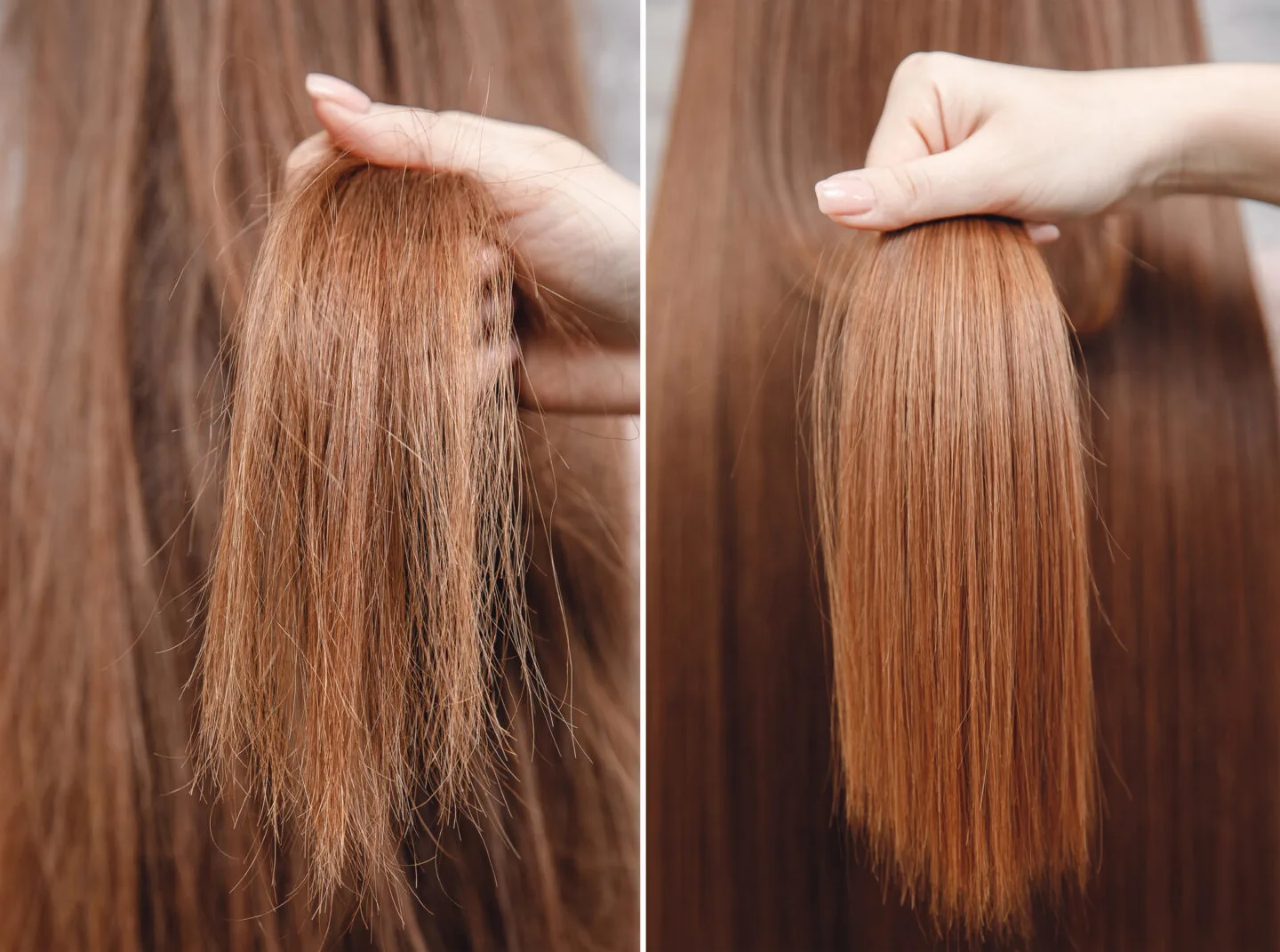 What Is The Best Olaplex Dupe? 3 What Are The 5 Most Popular Olaplex Products?