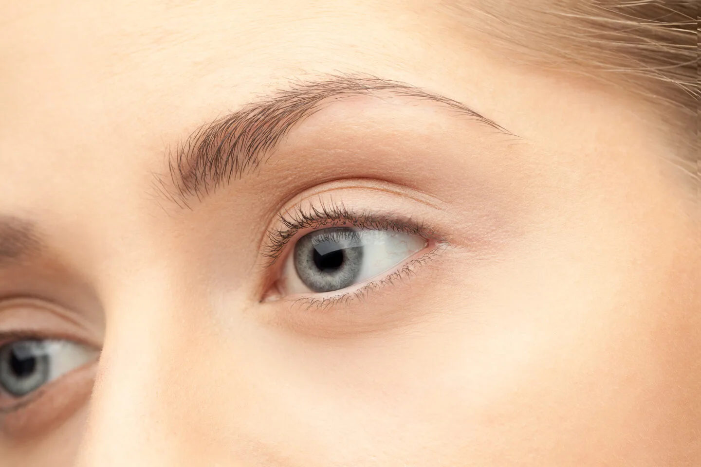 How Can We Improve The Health Of Our Eyebrows?