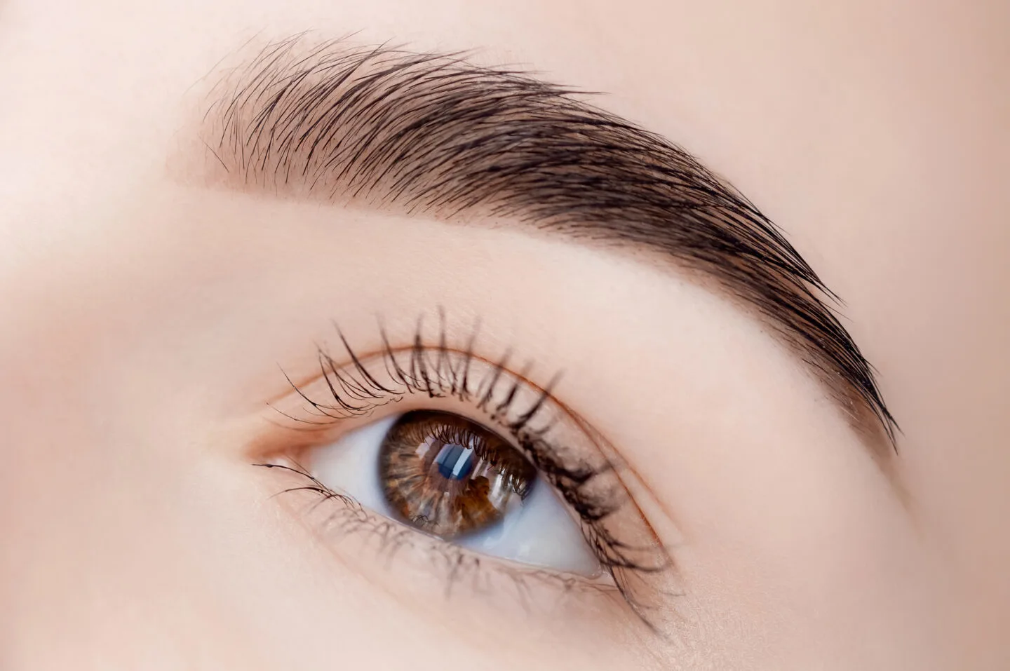 Best Makeup Products To Cover Up Sparse Areas Within Your Brows