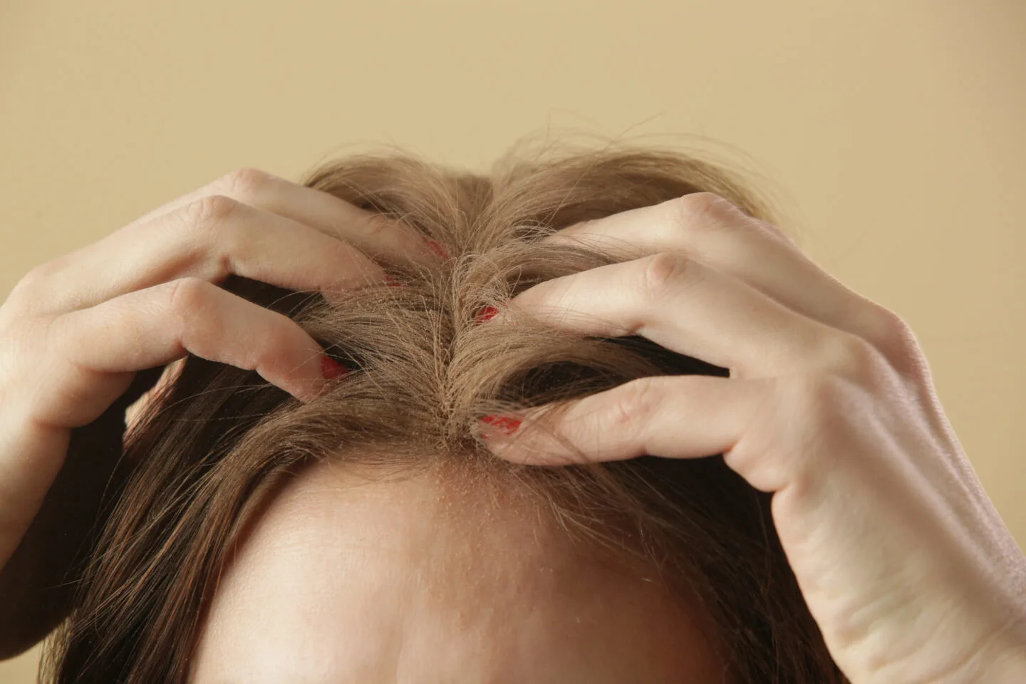 If You Use Dry Shampoo In Wet Hair, Can You Dry Your Hair With A Hair Dryer?